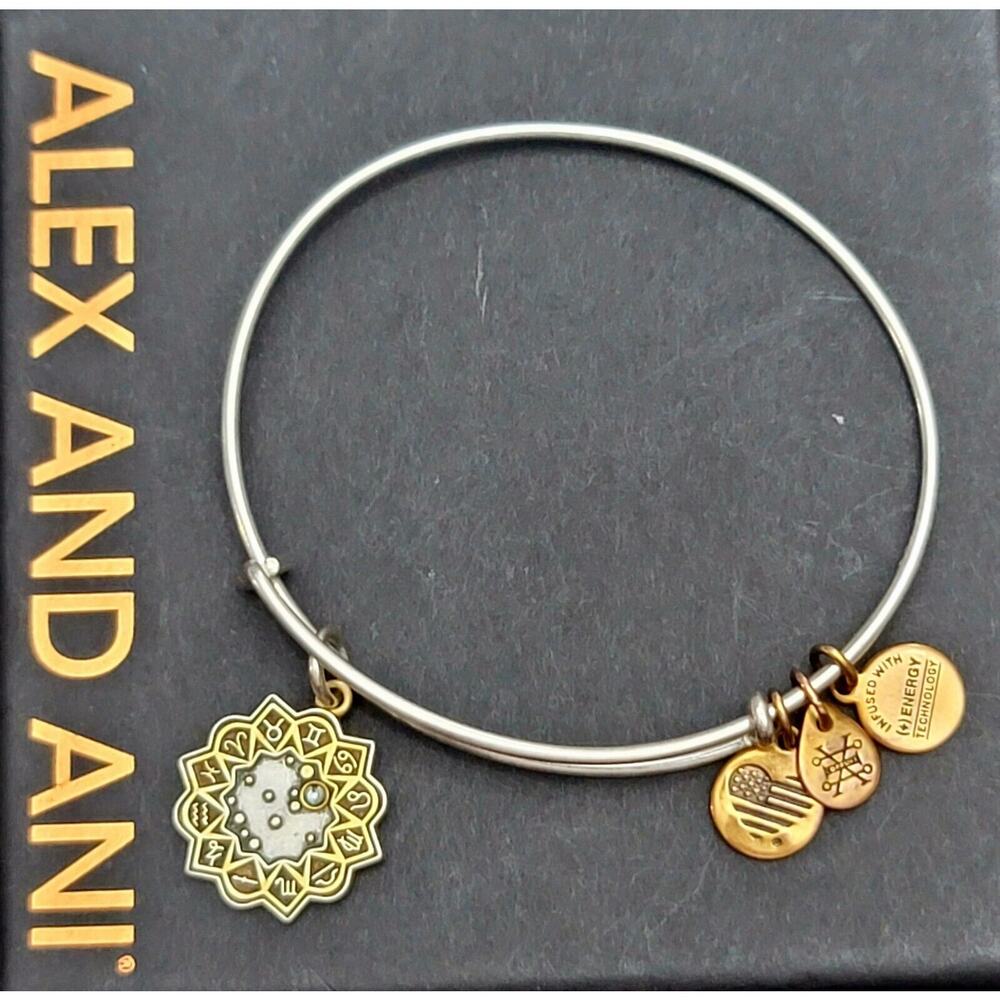 Alex and Ani Gemini Charm Bracelet
